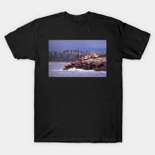 Sea lions . T-Shirt